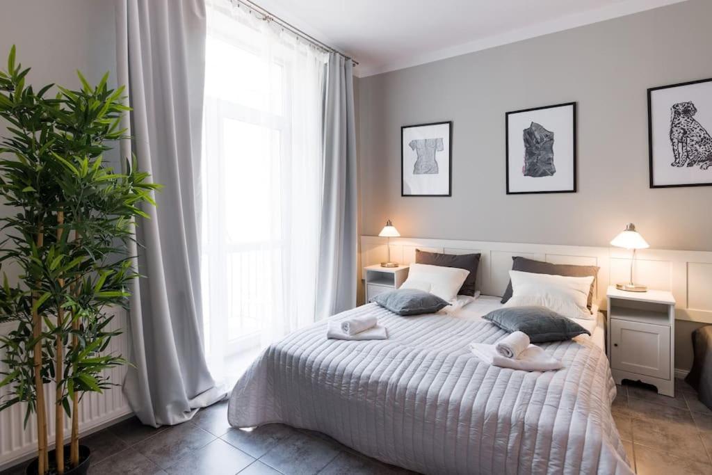 Florianska Deluxe Apartments With Air Condition Krasków Eksteriør bilde